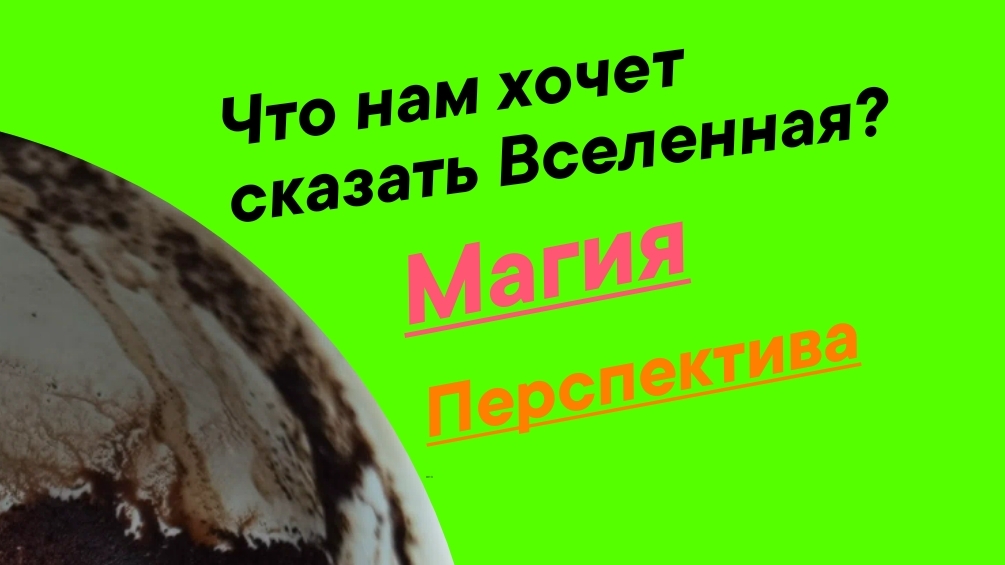 Лучший период начнётся с глубокой осени. Чашка показала ответ