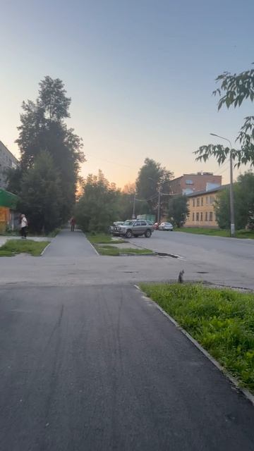 Какие тайны и секреты хранит улица Трудовая в Электростали.