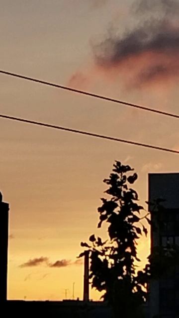 Рассвет в Пересветовом переулке )