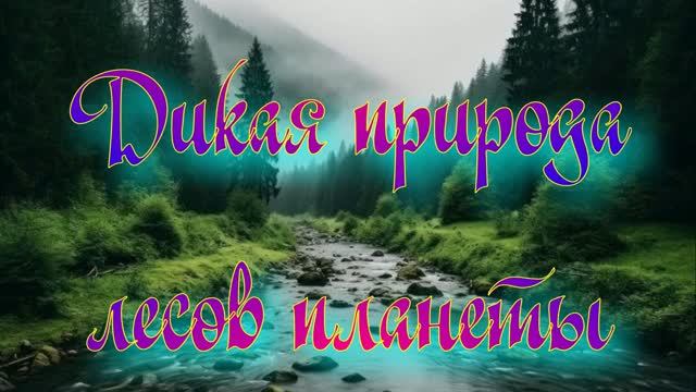 Дикая природа лесов планеты