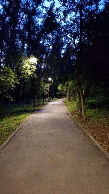 В парке