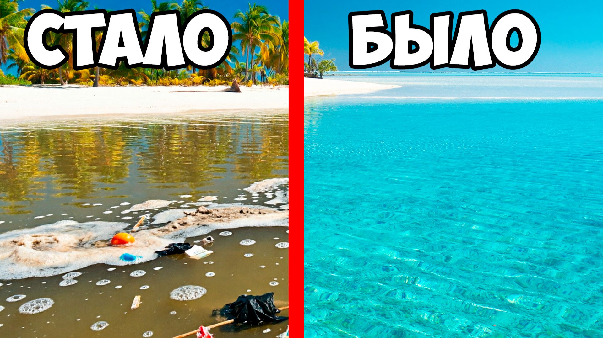 Я ОЧИСТИЛ МОРЕ