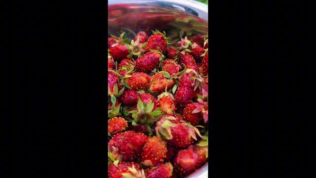 Вкус лета #shorts
