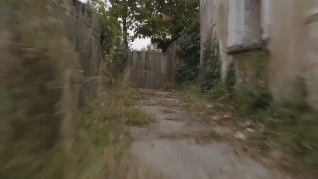 Зомби в СИДАНС 2.5