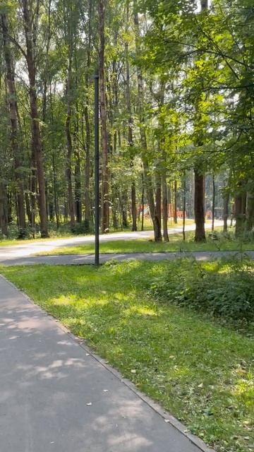 Прекрасный парк в Электростали - любимое место отдыха горожан.