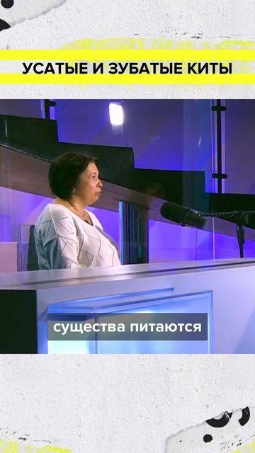 🐳 Киты бывают разные | Наталья Носова Лекция 2026 | Мослекторий