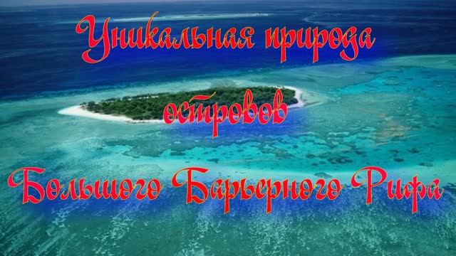 Дикая природа островов Большого Барьерного Рифа
