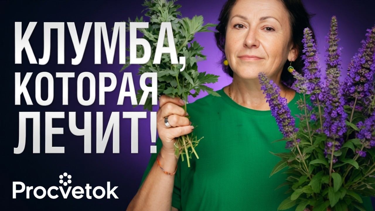 ЦВЕТНИК ИЗ ПРЯНЫХ ТРАВ. Что посадить для красоты и здоровья?