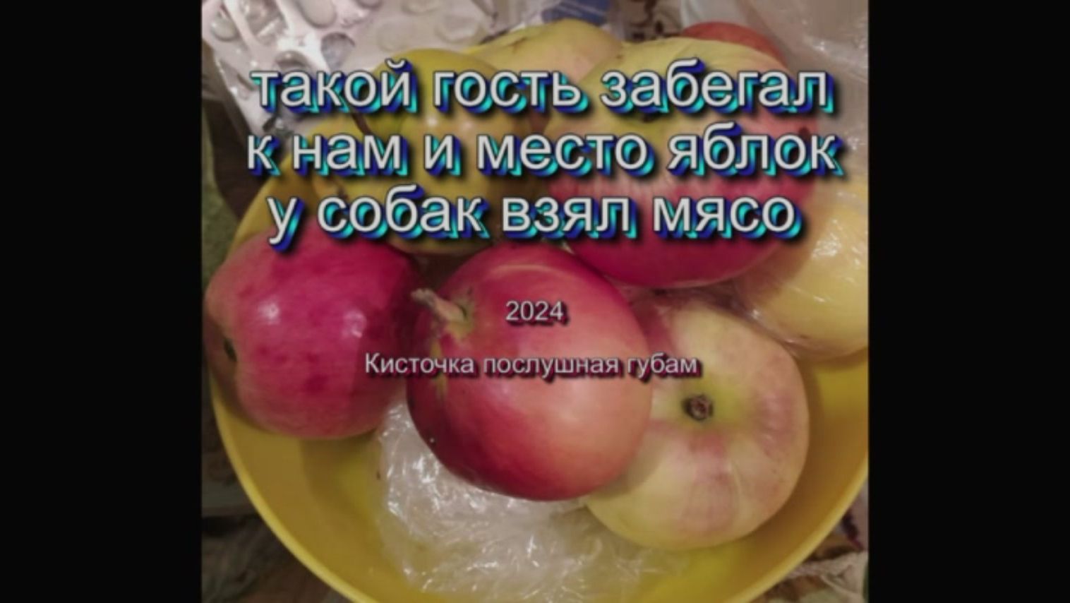 такой гость забегал к нам и место яблок у собак взял мясо - 2024