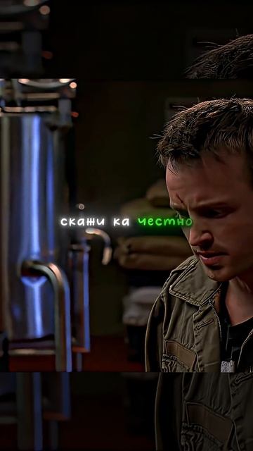 Обычная муха навела суету😲