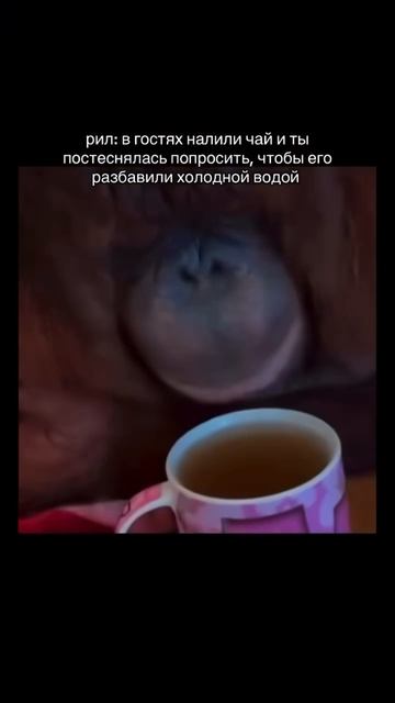 Copy_864EBEA9-5EDA-4339-9D0E-036A4766D60B