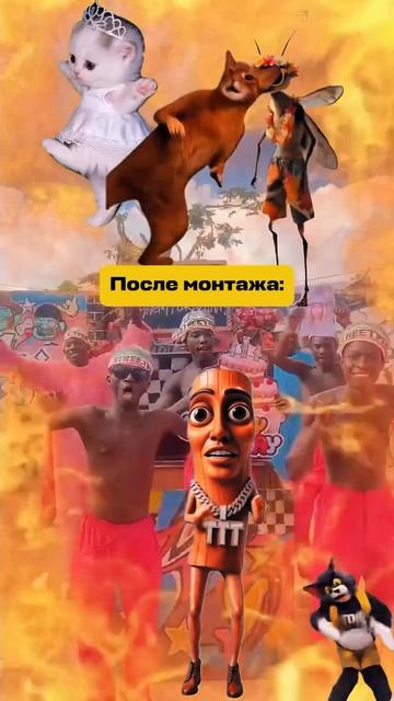 Поздравление из Африки🖤
