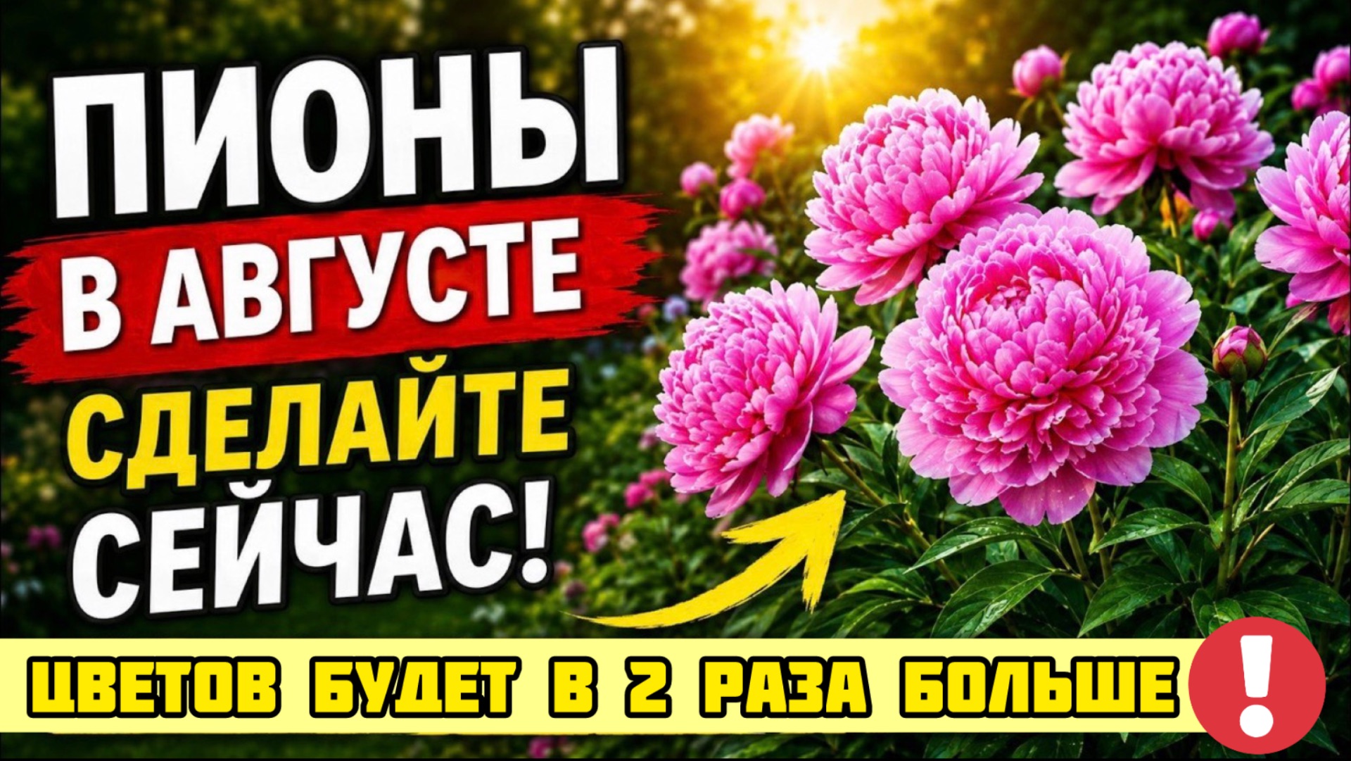 ШПИОНЫ В АВГУСТЕ: 7 важных дел, которые решают всё