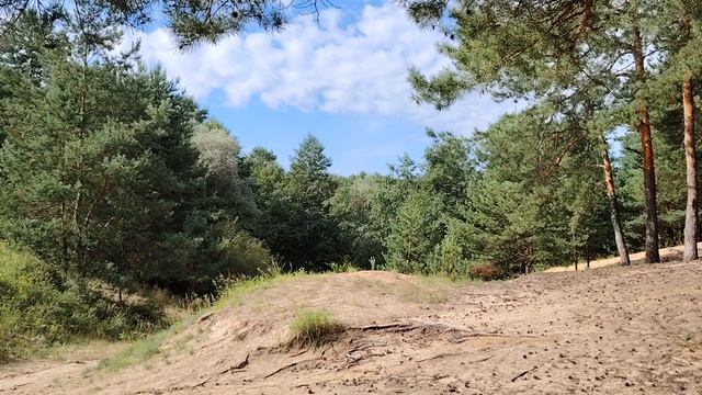 Справедливость в работе по найму в организации? И немного о деньгах в долг