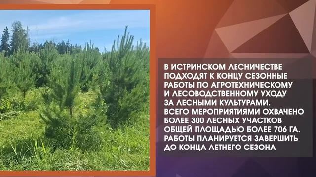 Дайджестдня 17 августа 2026 года