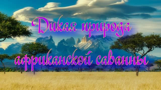 Дикая природа африканской саванны