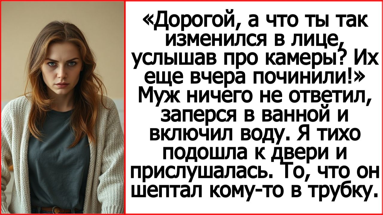 Дорогой, а что ты так изменился в лице, услышав про камеры? Их еще вчера починили.
