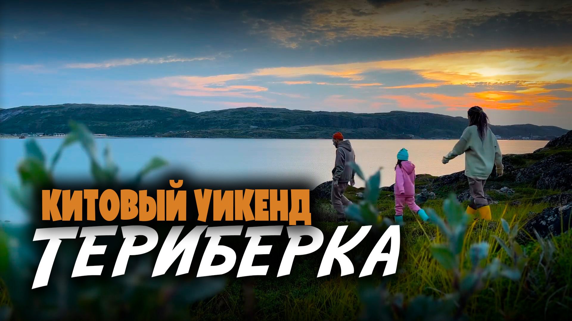 Териберка. Возможно ли найти настоящих КИТОВ?!