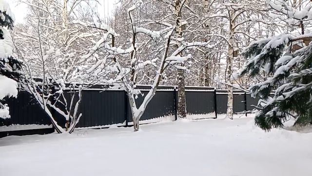 зима