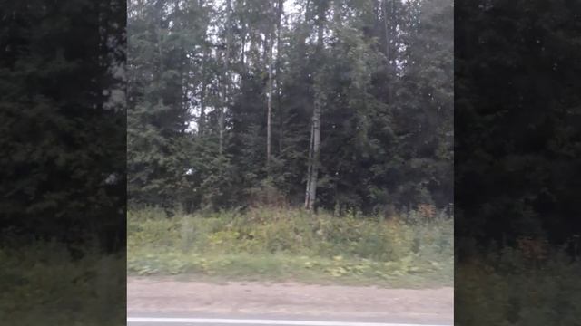 поехал на дачу