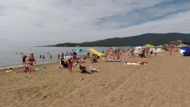 Шамора 12.08.2026.