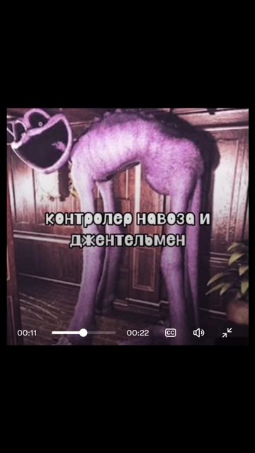 попа плейтайма