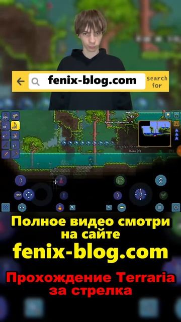 Прохождение игры Terraria от Феникса (FENIX) смотреть можно на сайте Https://fenix-blog.com