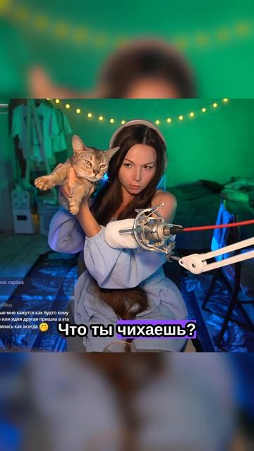 #кот #котик