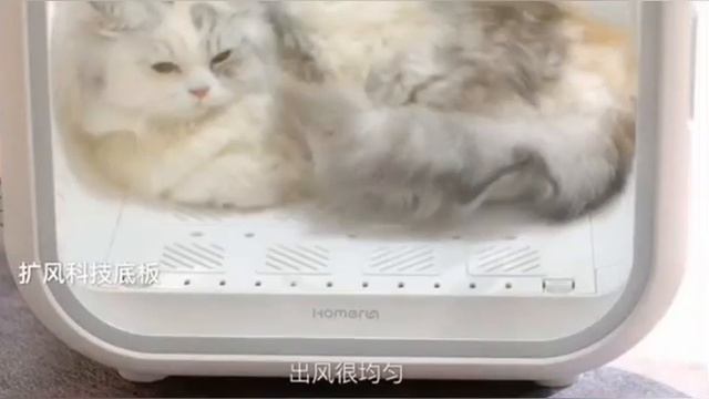 Обзор сушилки для домашних животных Xiaomi Homerun Drying Box High Speed Version PD62