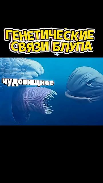 Мутации блупа