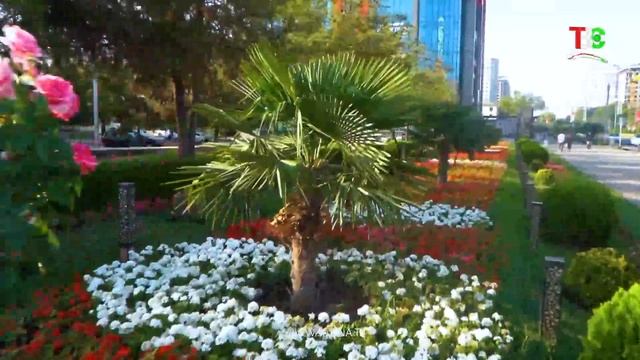 Начало эфира после профилактики (ТВ Сафина HD (Таджикистан), 17.08.2026)