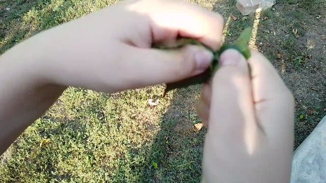 асмр в деревне, на улице🌳🏡
