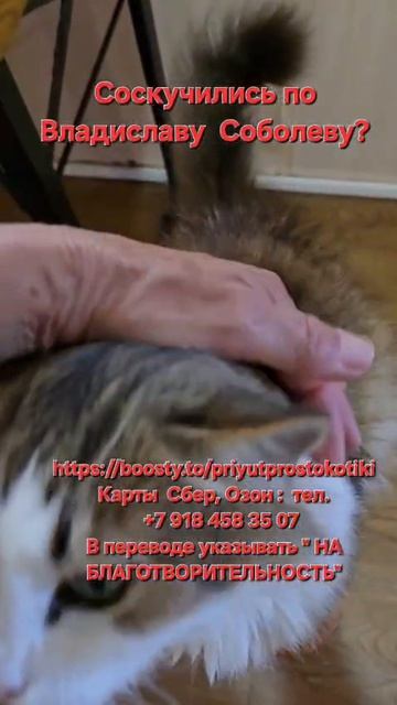 Владик