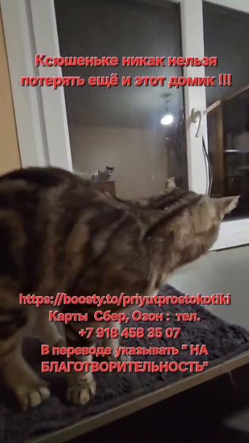 Ксюша
