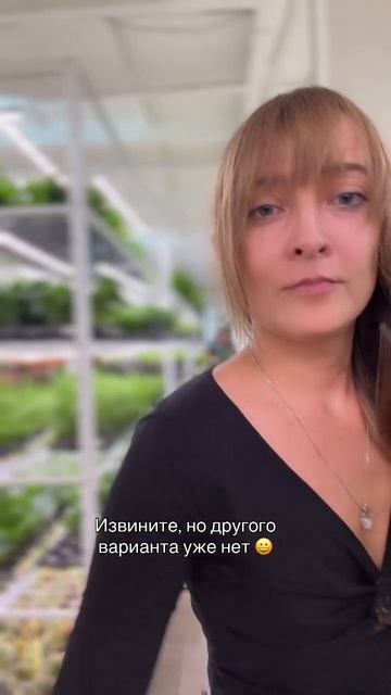 Выберите своё растение → на сайте Green Town
