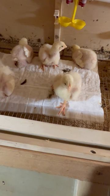 Они скоро пойдут жить на улицу 