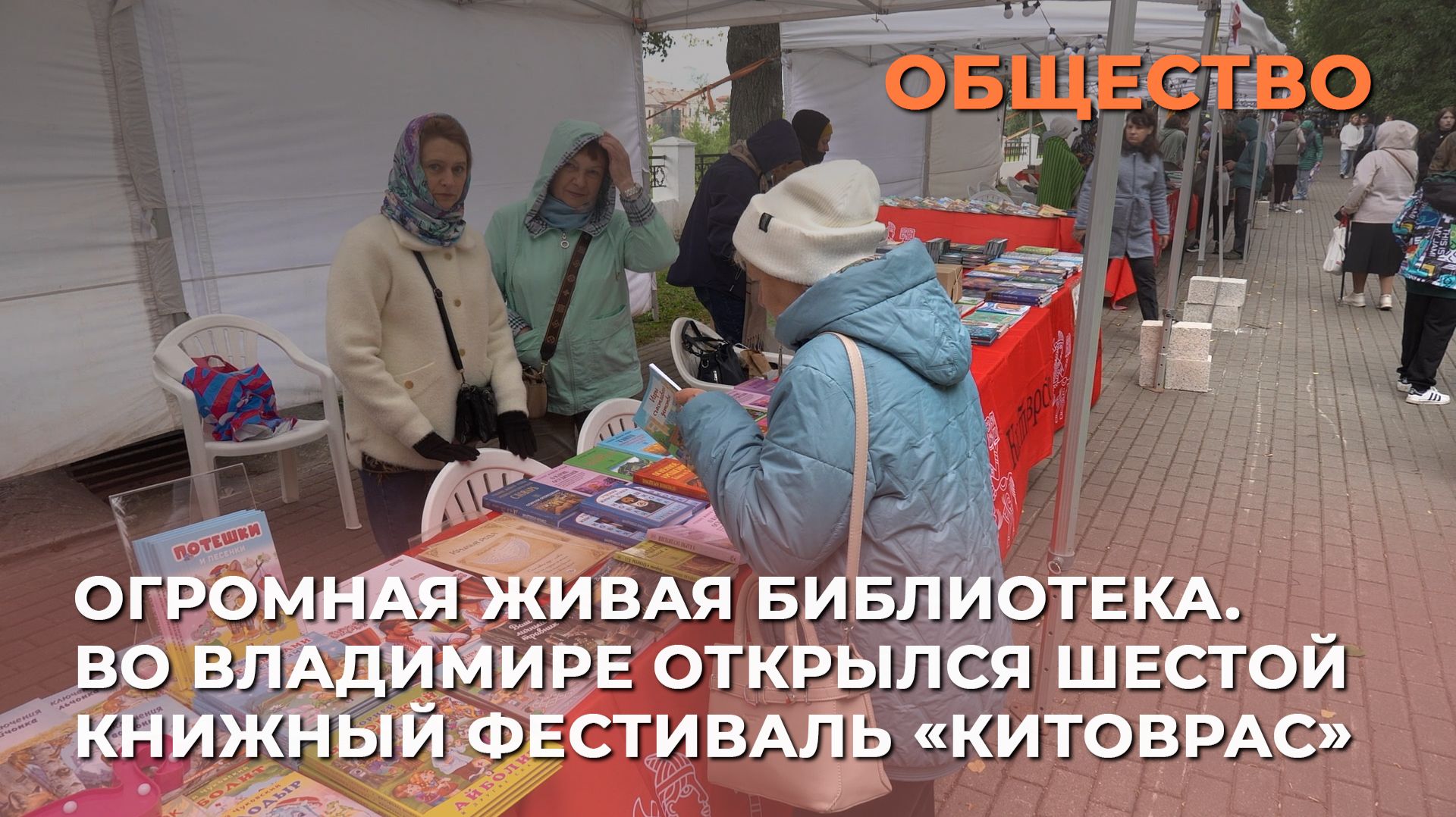 Огромная живая библиотека. Во Владимире открылся шестой книжный фестиваль «Китоврас»