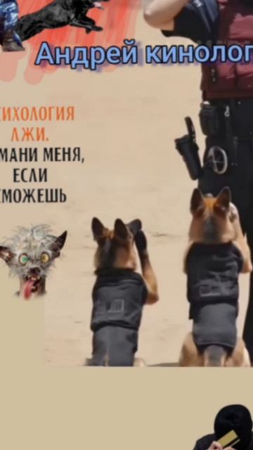 Савелий разносит
