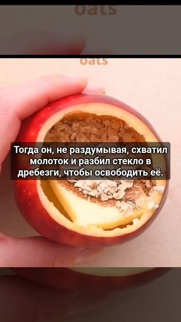 таинственное заркало