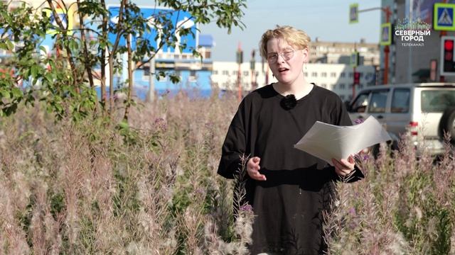 «АПТЕКА» НА ГАЗОНЕ, 18.08.2026