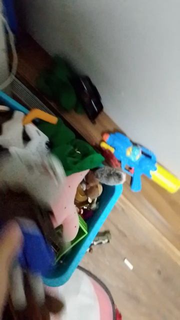 Вчерашнее видео