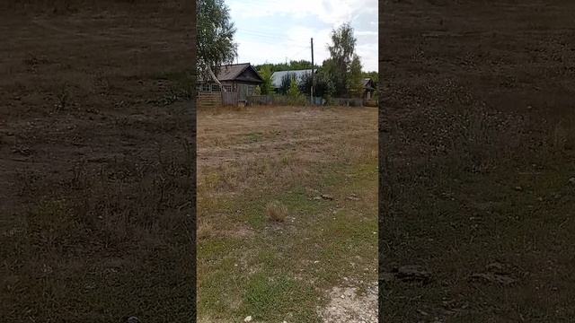 Пашол кантору