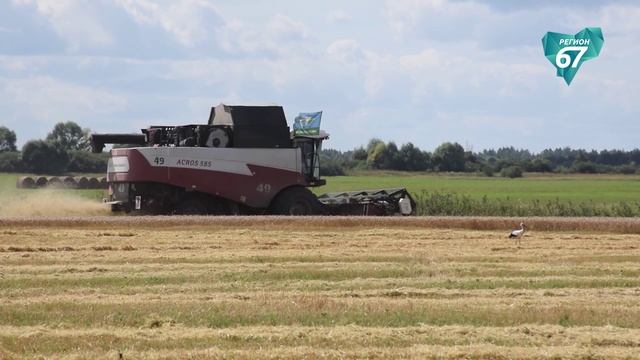 Ход уборочной кампании в Сычевском округе: итоги на текущий момент