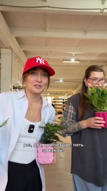 Голосуйте! Какой вам больше нравится?