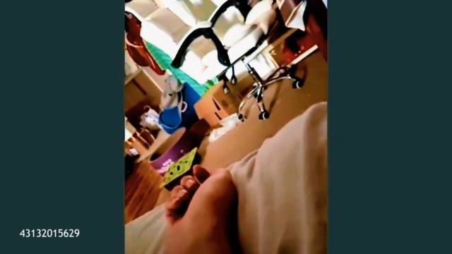 Смешные КОШКИ 😹😹😹  забавные животные 😂😂😂🤣 FUNNY CATS 🤣😹🤣