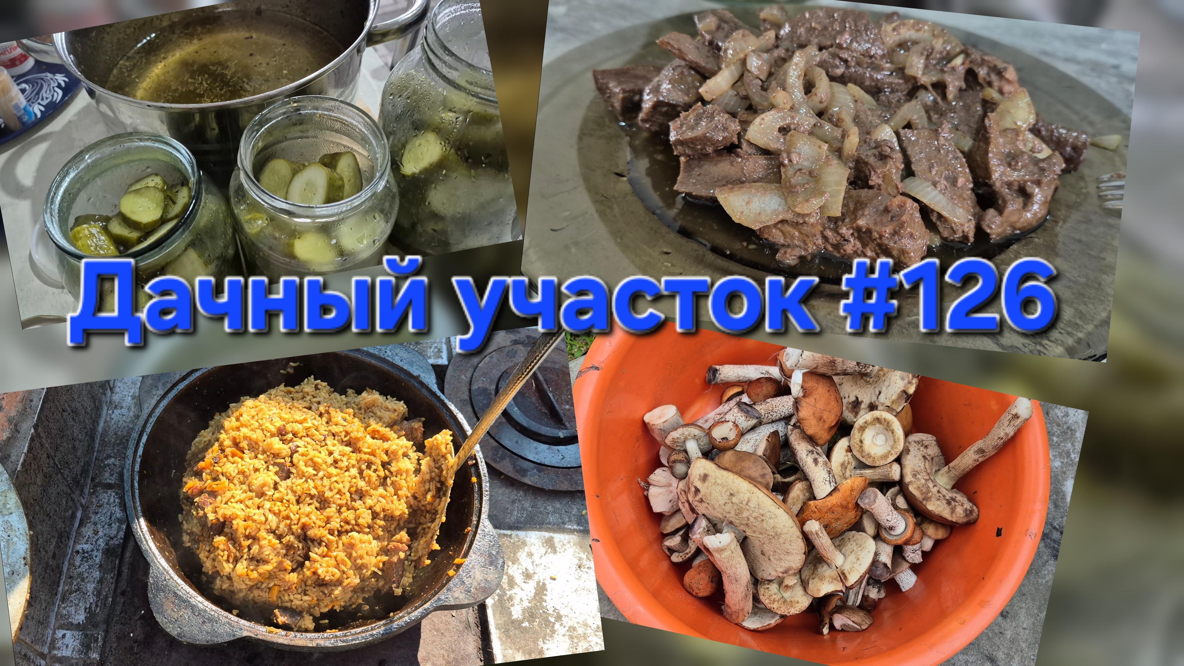 Шикарный дачный обед! Готовим говяжью печень, плов в казане и собираем грибы (#126)