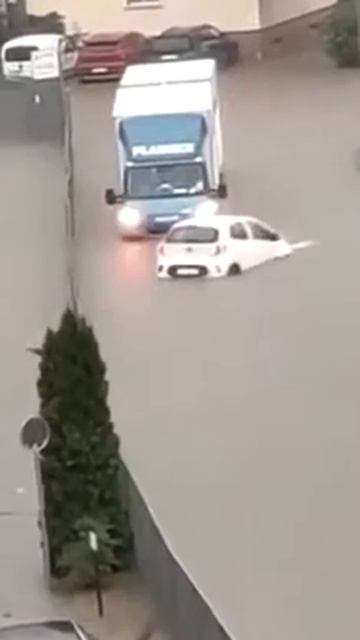 Видимо профи