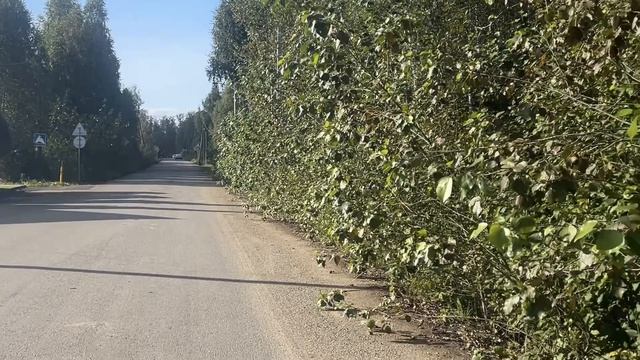 Влог: Живем, гуляем, печем и отдыхаем