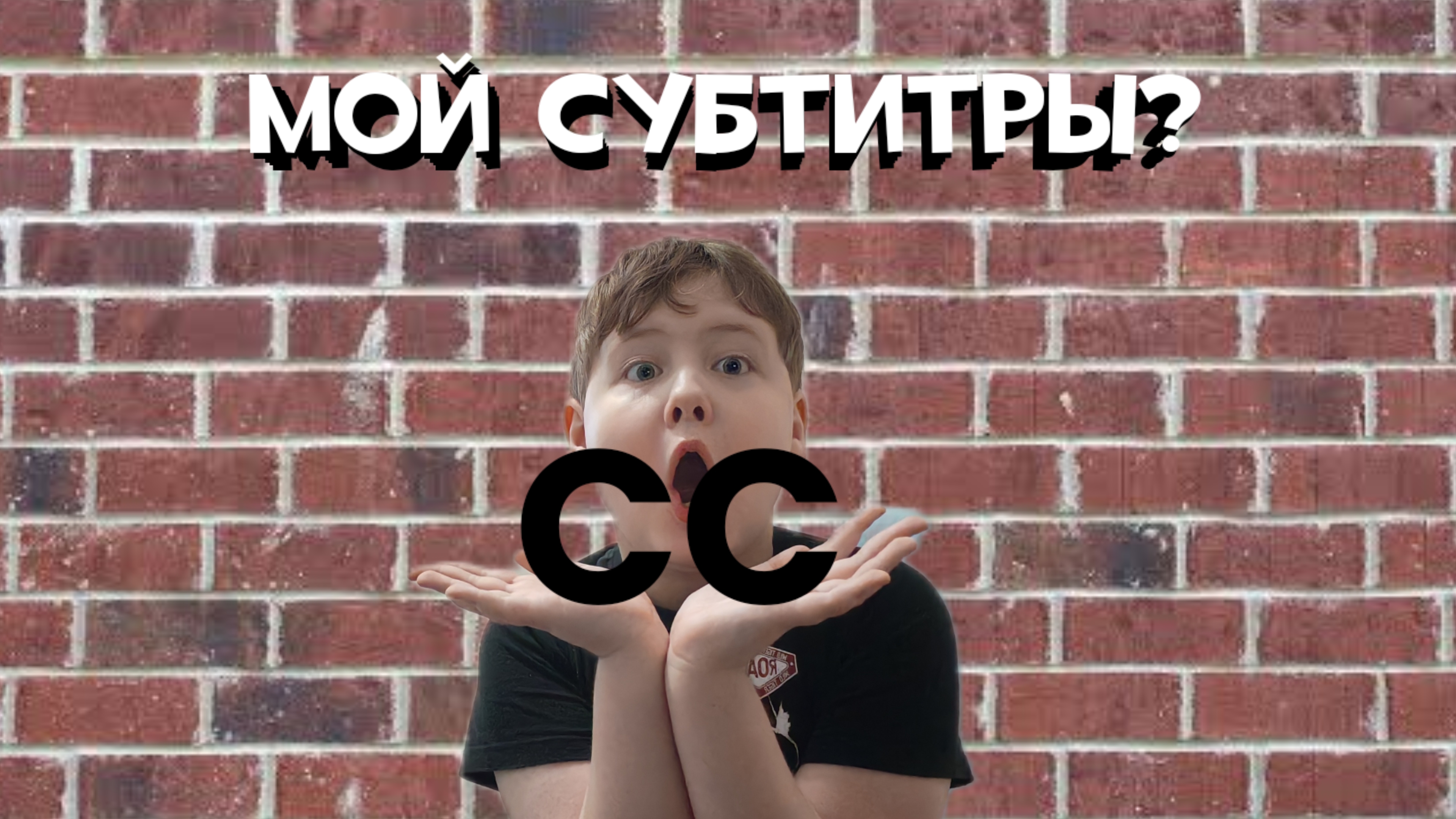 МОЙ СУБТИТРЫ?