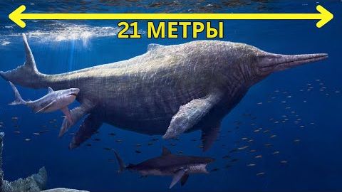 Самая большая морская рептилия, когда-либо существовавшая